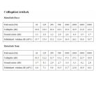 Alpine MotoSafe Race motoros füldugó