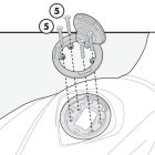 Givi BF22 tanklock adapter