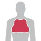 Sas-Tec SC-1/CP2 protektor