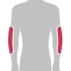 Sas-Tec SC-1/KA2 Air protektor