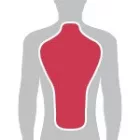 Sas-Tec SCL-XL 19 protektor